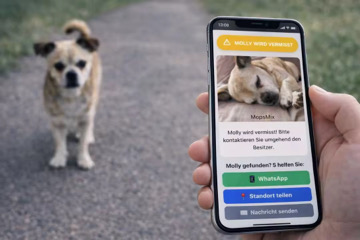 Vermisster Hund gefunden mit BookTag